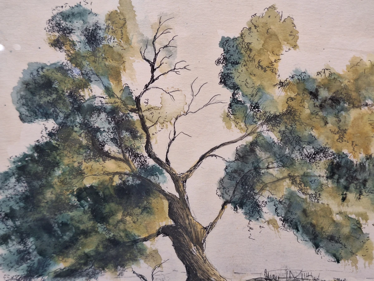 Set van 3 vintage aquarellen met boom- en boslandschappen - gesigneerd J. Verhelst - ingelijst