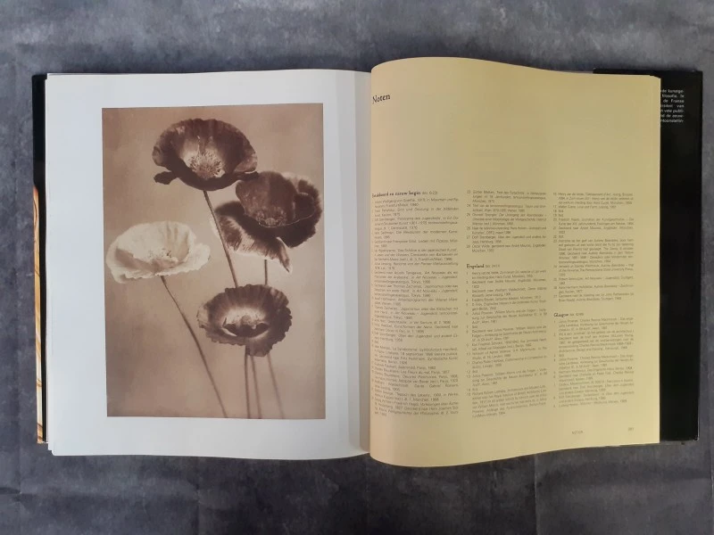 Boek: Jugendstil