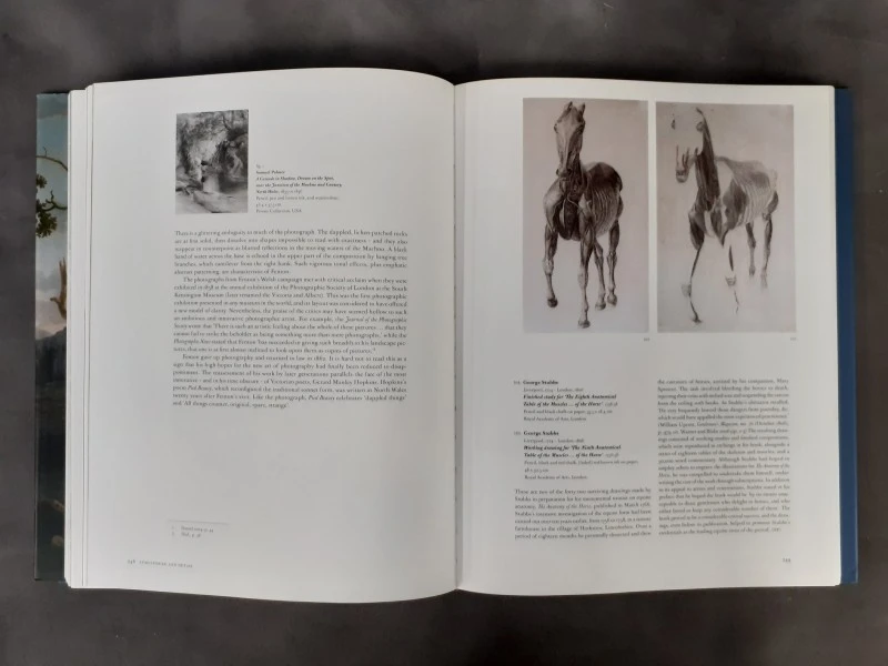 Boek: British Vision - Observation and Imagination in British Art