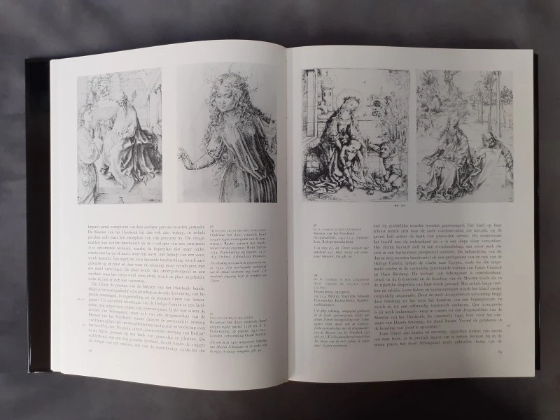 Boek: Dürer