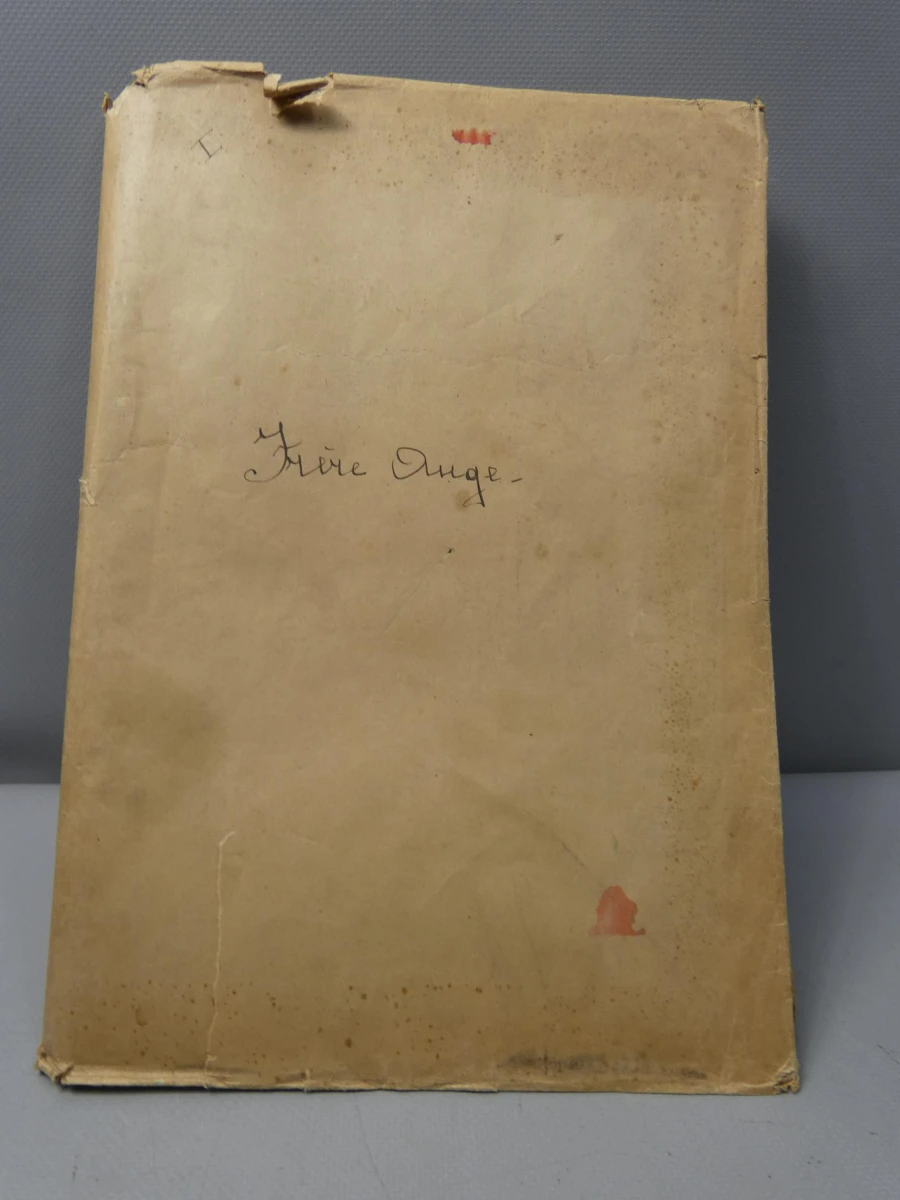 Frere Ange boek