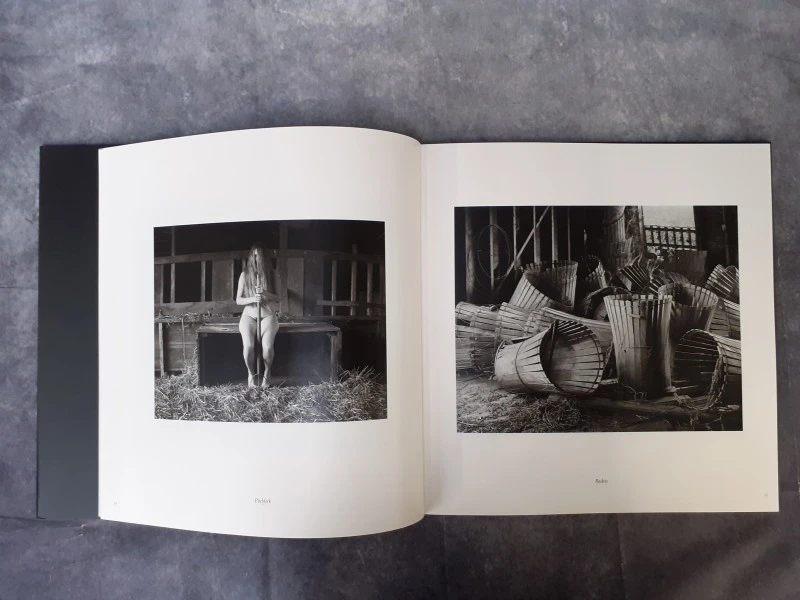Boek: William Mark Ingram - Beyond Hidden Places
