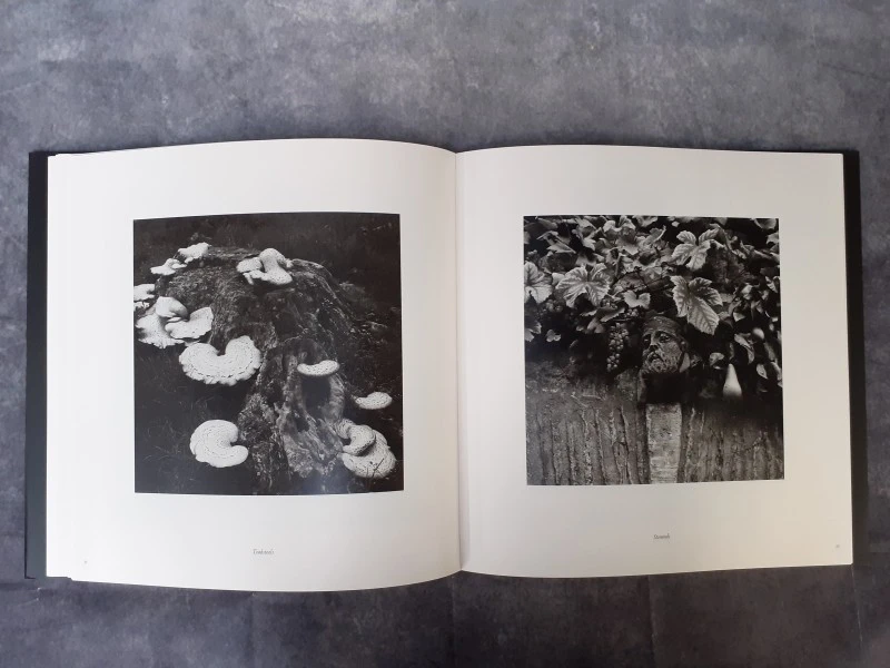 Boek: William Mark Ingram - Beyond Hidden Places