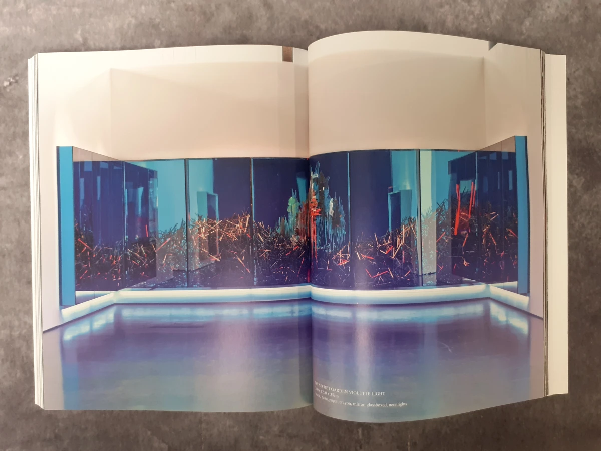 Boek: Arne Quinze - Rock Strangers / My secret garden