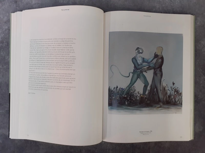 Boek: Jan Hoet kunstpakket