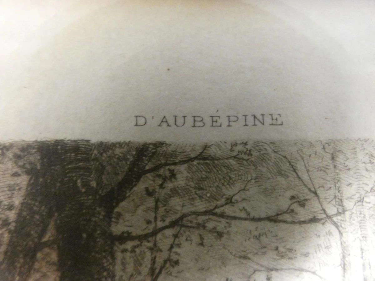 Ingelijste print "D'Aubépine / Nuit de mai"
