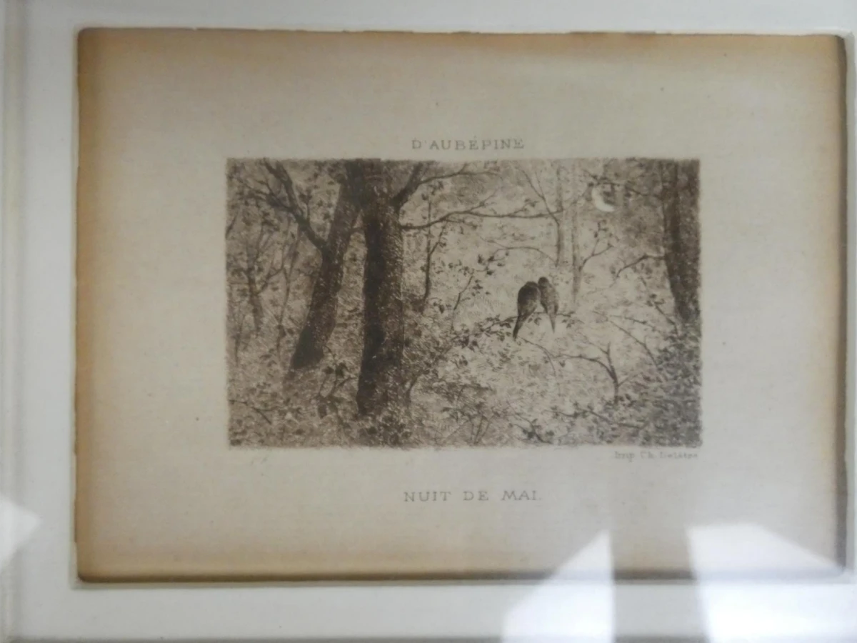 Ingelijste print "D'Aubépine / Nuit de mai"