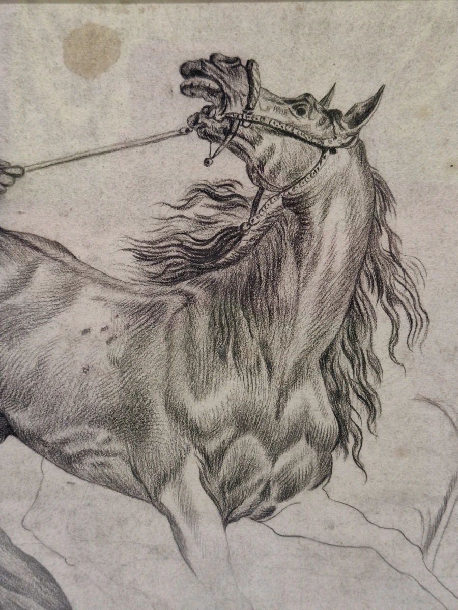 "Mamelouk tenant son cheval par la bride" – zeldzame lithografie / proefdruk of academische studie - Carle Vernet