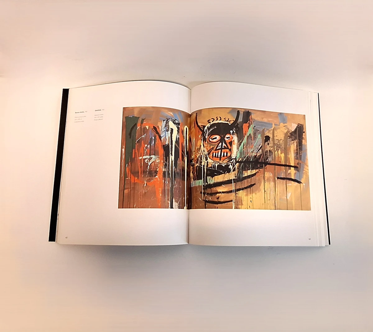 Boek over kunstenaar Basquiat, A Venezia