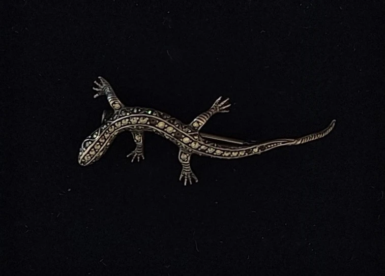 Salamanderbroche
