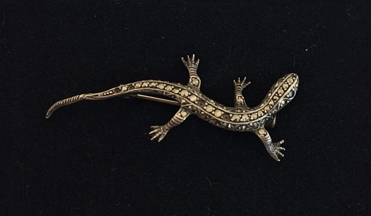 Salamanderbroche