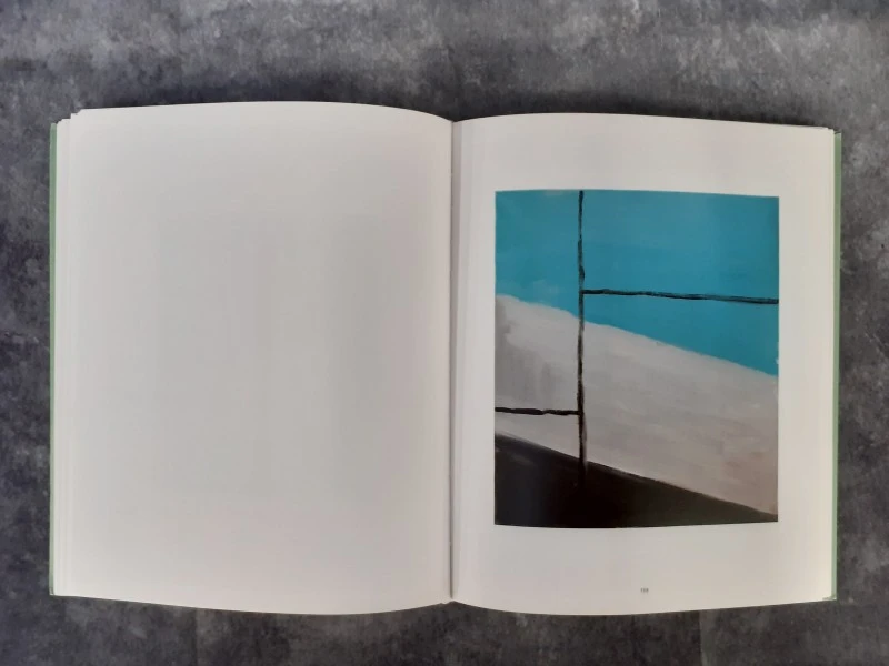 Boek: Ilse D’Hollander: Untitled