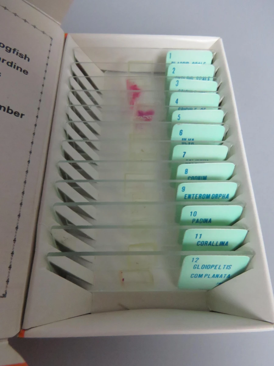 Sears Microscopie Set