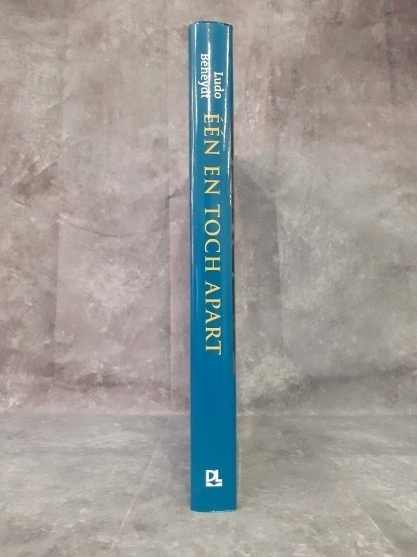 Boek: Een en toch apart – kunst en cultuur van de Nederlanden