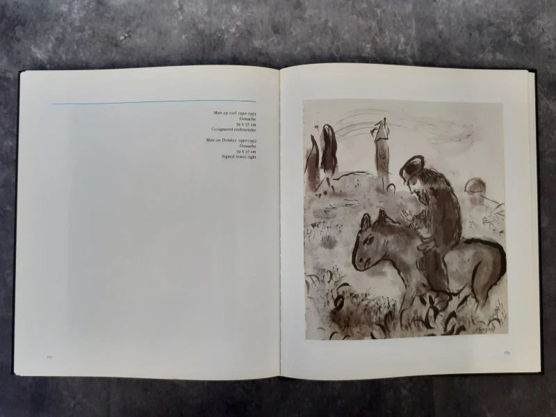 Boek: Chagall Marc