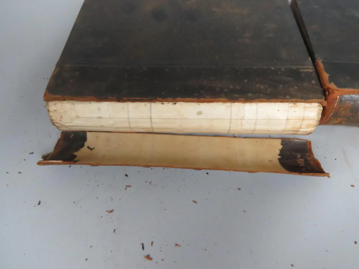 2 Charles Dickens Deense boeken