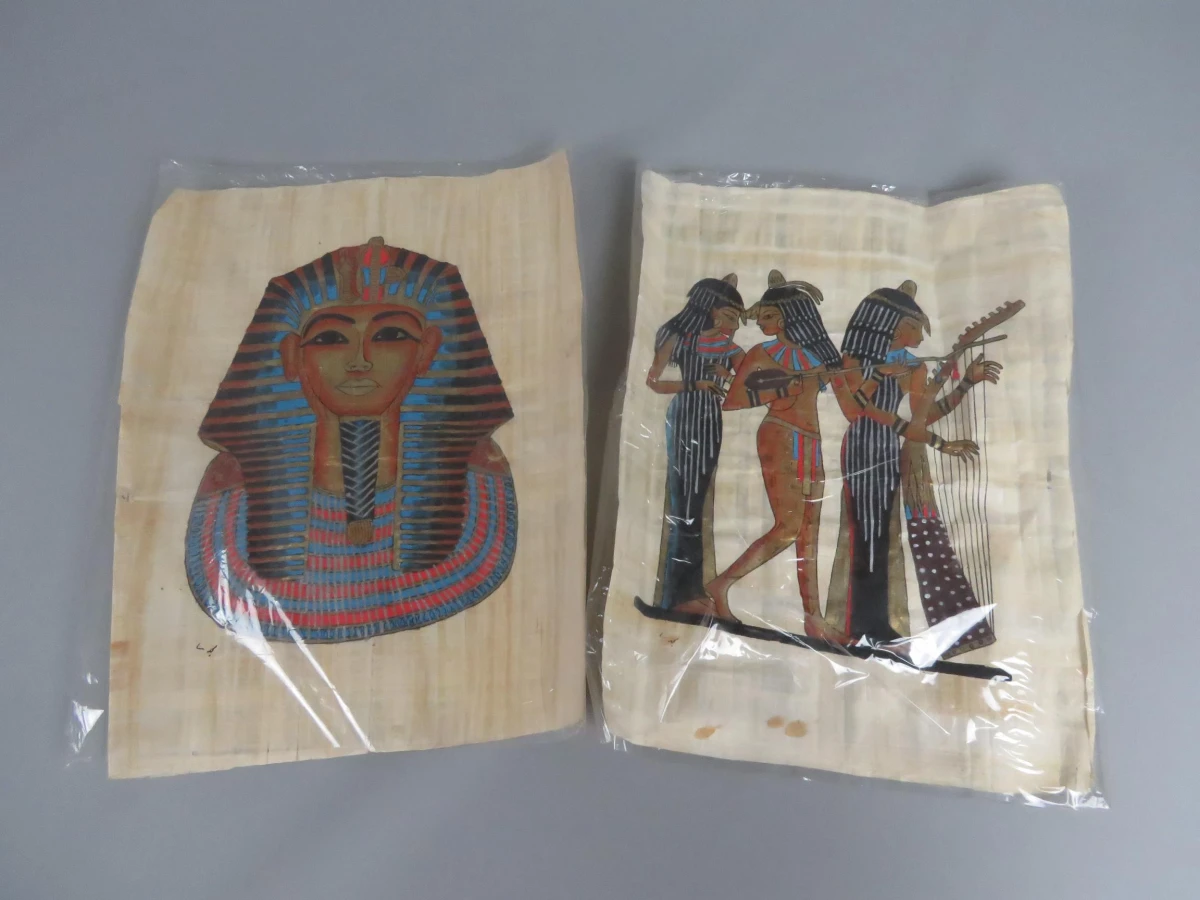 Egyptische papyrusafbeelding