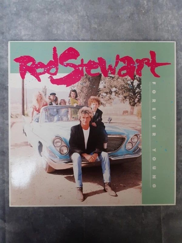 Vinyl: Lot van 5 Rod Stewart albums
