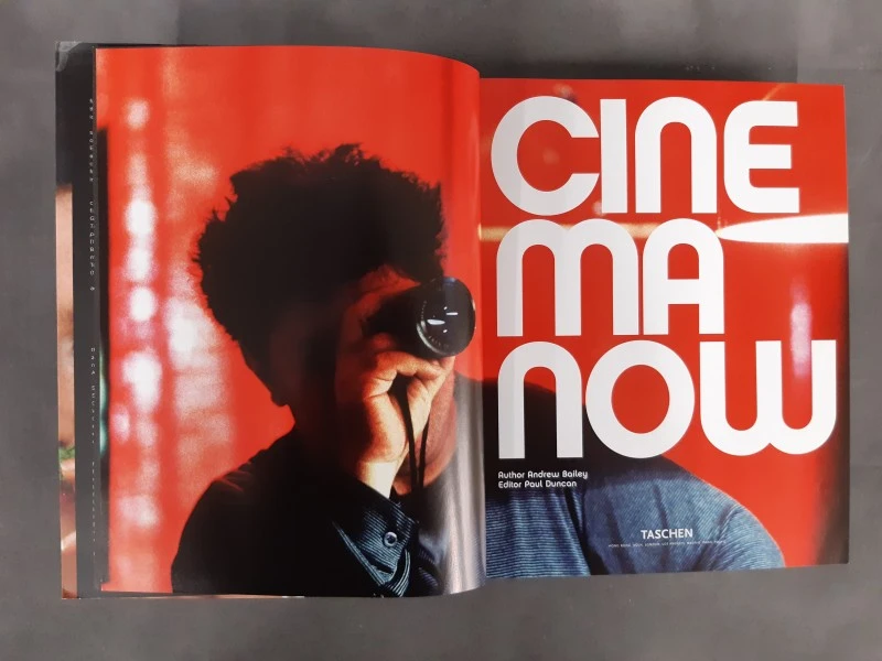 Boek: Cinema now