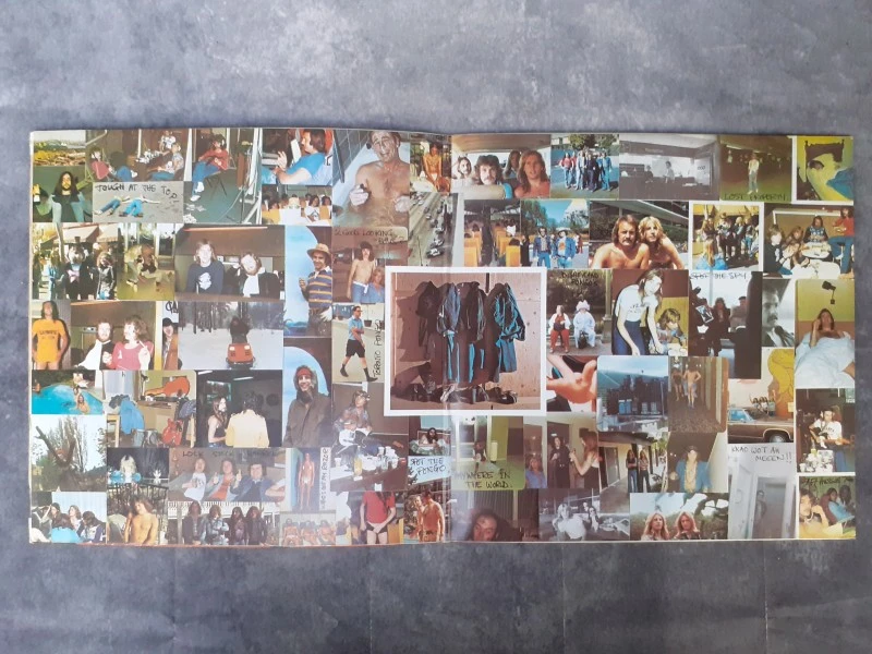 Vinyl: Status Quo - On the Level