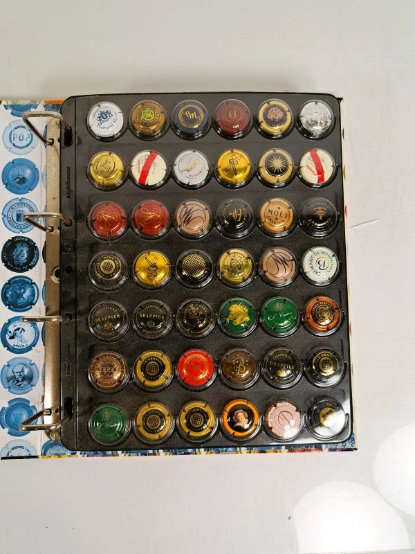 Verzameling champagnecapsules in album