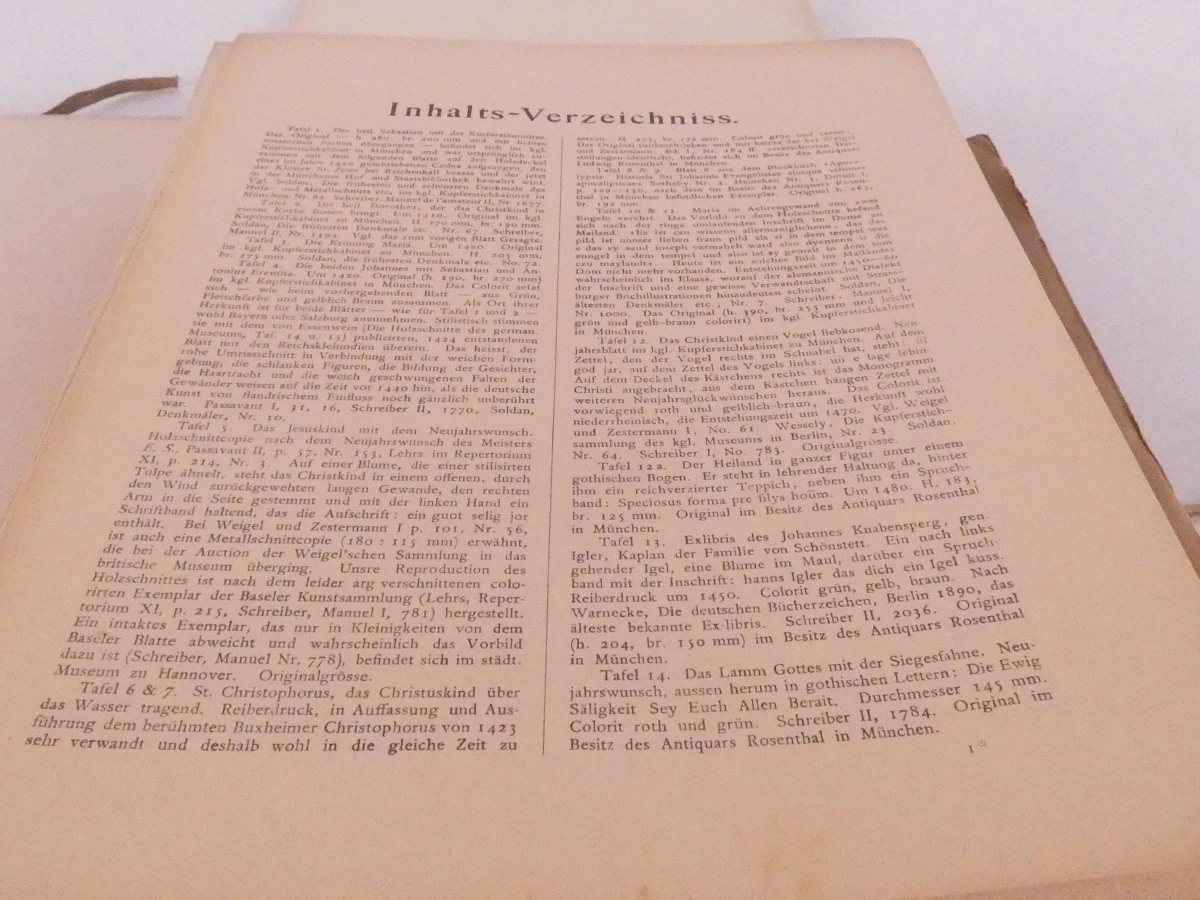 Meister Holzschnitte uit 1893, kunstboek met houtsneden