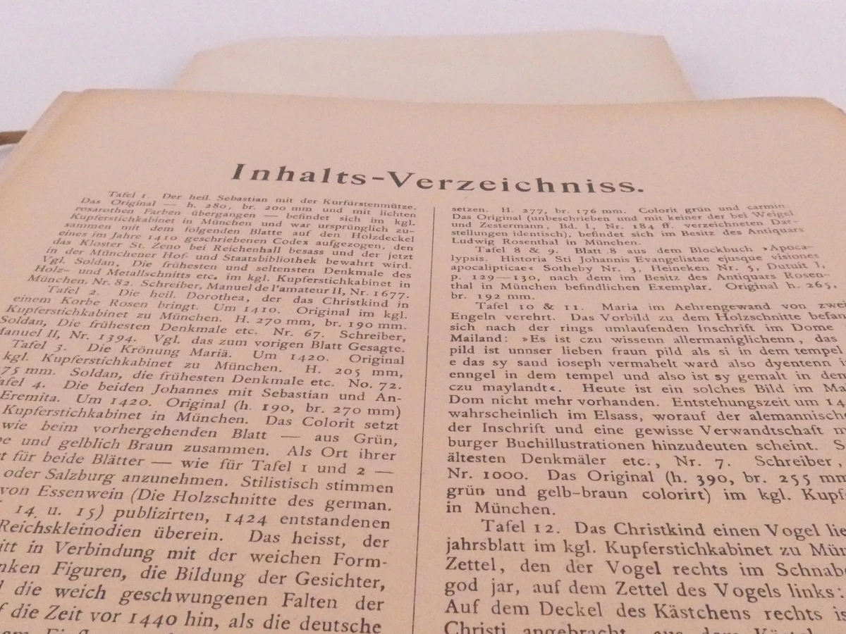Meister Holzschnitte uit 1893, kunstboek met houtsneden