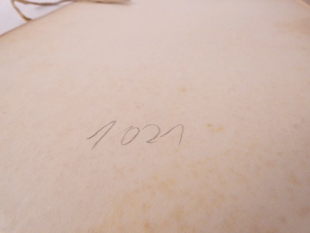 Meister Holzschnitte uit 1893, kunstboek met houtsneden