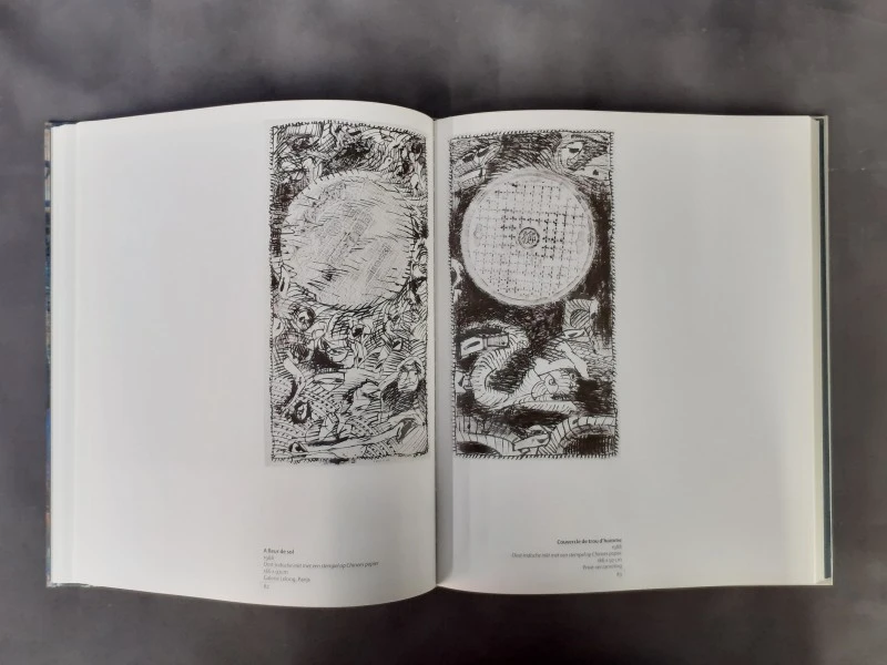 Boek: Pierre Alechinsky