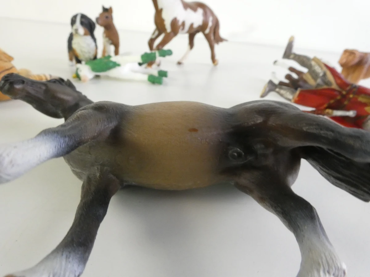 Set Schleich dieren en figuren met accessoires