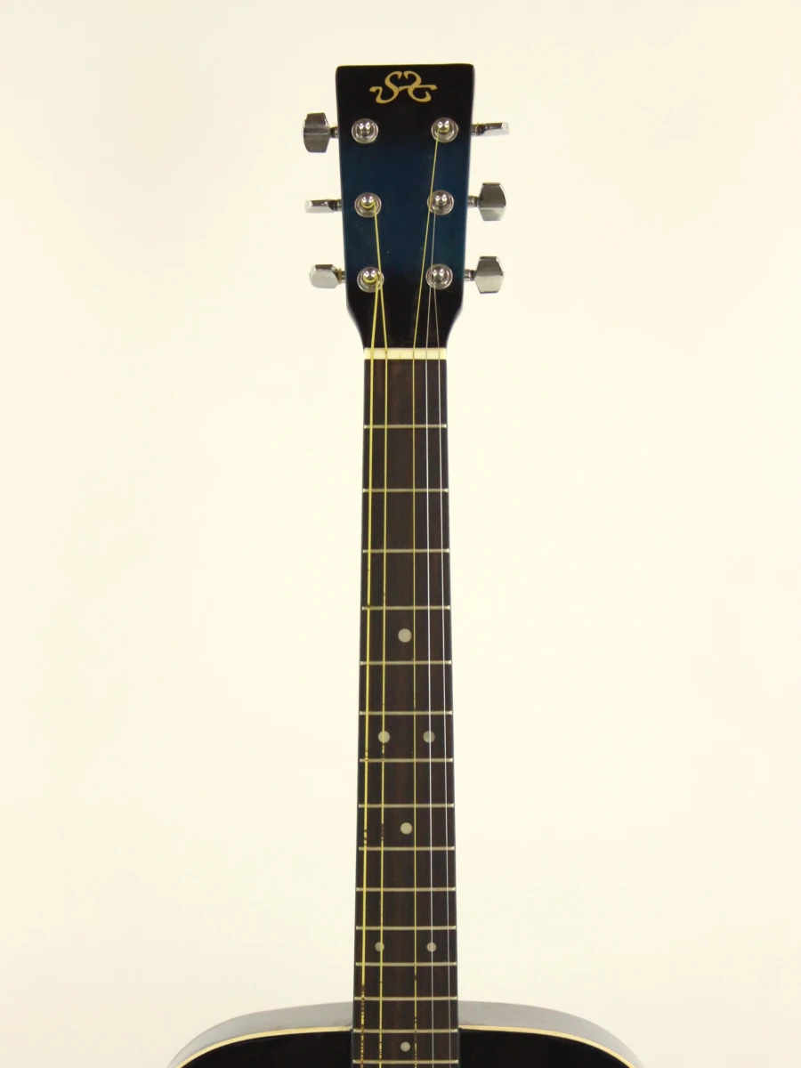 SX MD 160 Acoustic Blue gitaar
