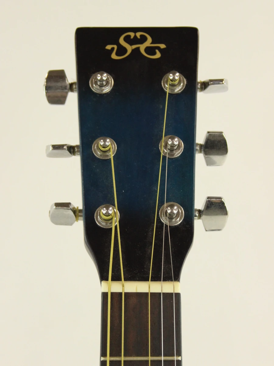 SX MD 160 Acoustic Blue gitaar