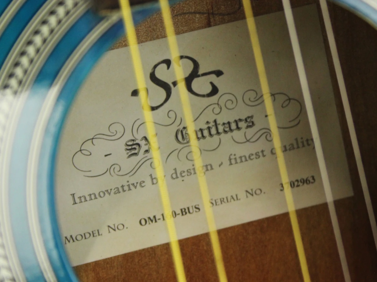 SX MD 160 Acoustic Blue gitaar