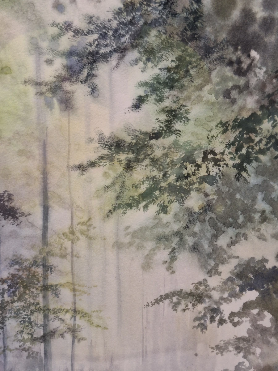 Originele aquarel - Sfeervol boslandschap - Xavier Swolfs