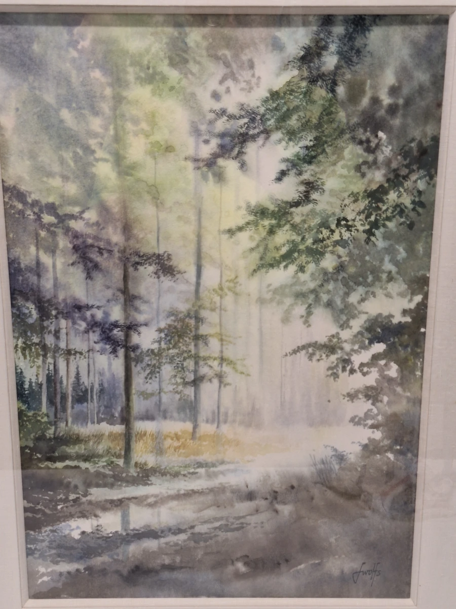 Originele aquarel - Sfeervol boslandschap - Xavier Swolfs