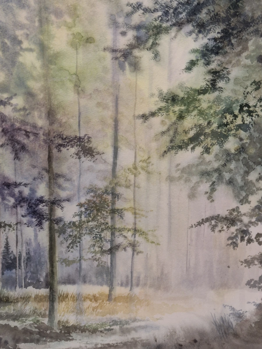 Originele aquarel - Sfeervol boslandschap - Xavier Swolfs