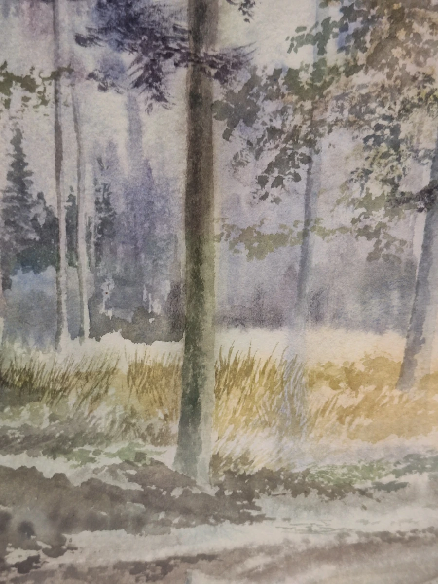 Originele aquarel - Sfeervol boslandschap - Xavier Swolfs
