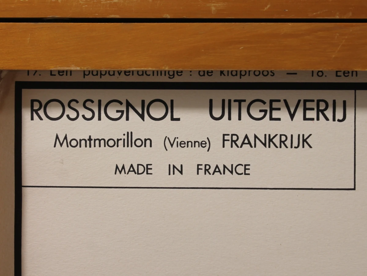 Vintage Schoolplaat | De Klaproos [1955 - 1965]