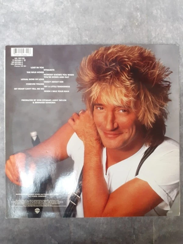 Vinyl: Lot van 4 Rod Stewart albums