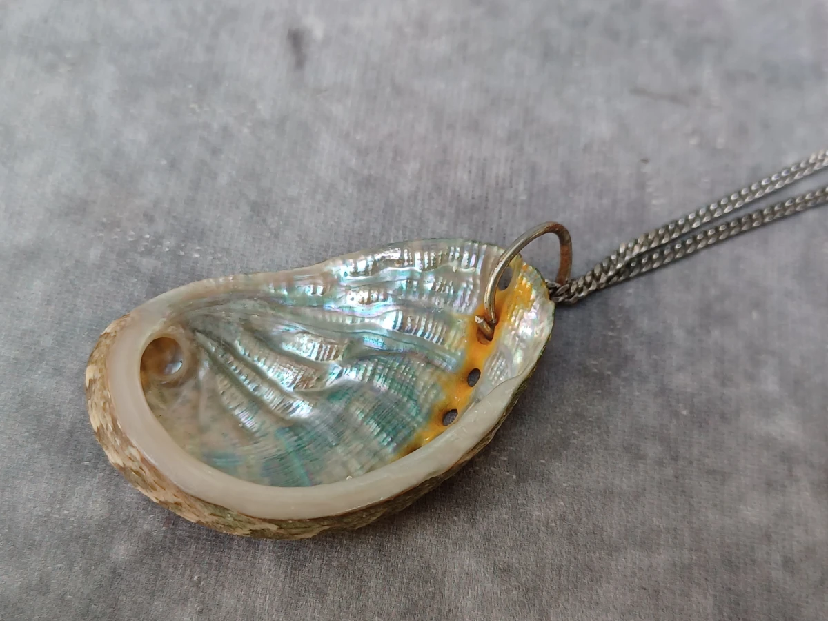 Vintage set Pauaschelp sieraden met zilveren ketting