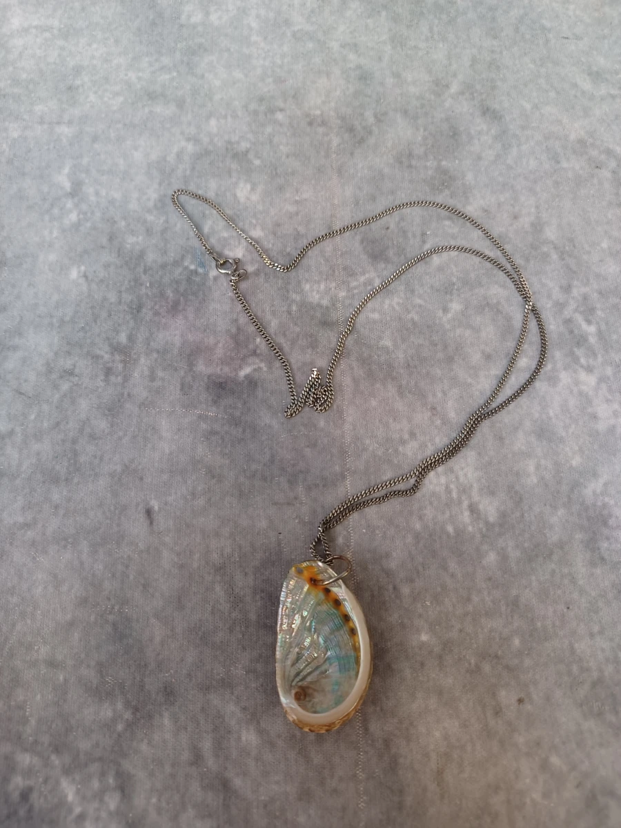 Vintage set Pauaschelp sieraden met zilveren ketting