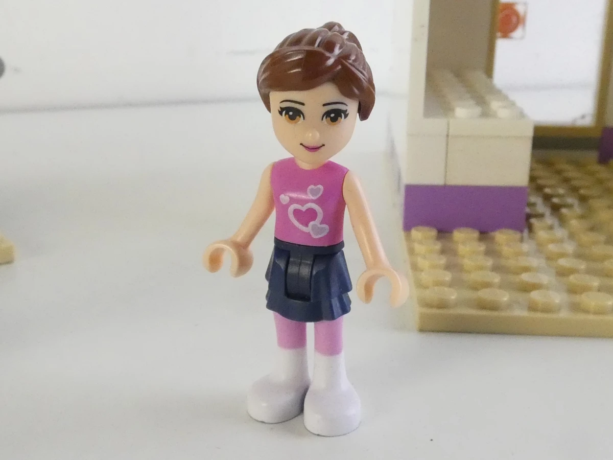 Lego Friends set 41101