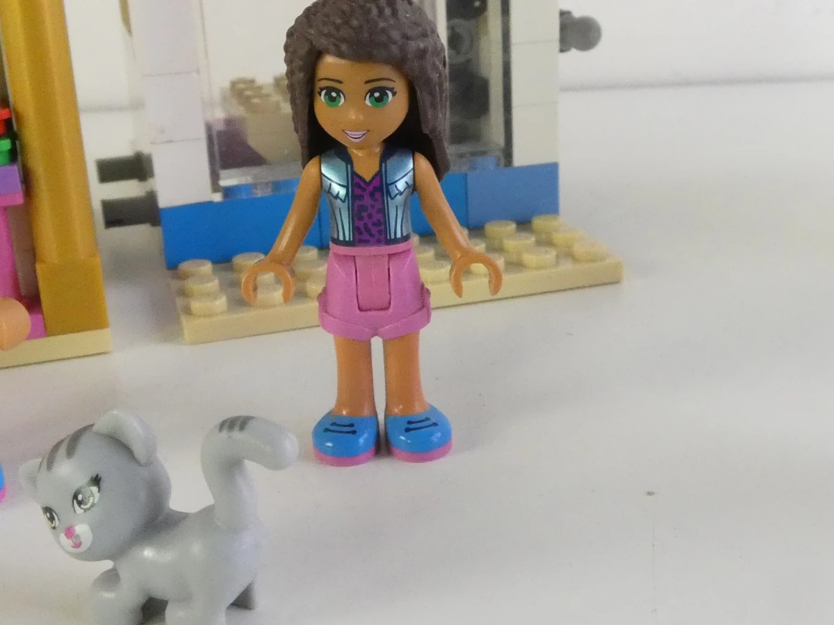 Lego Friends set 41101
