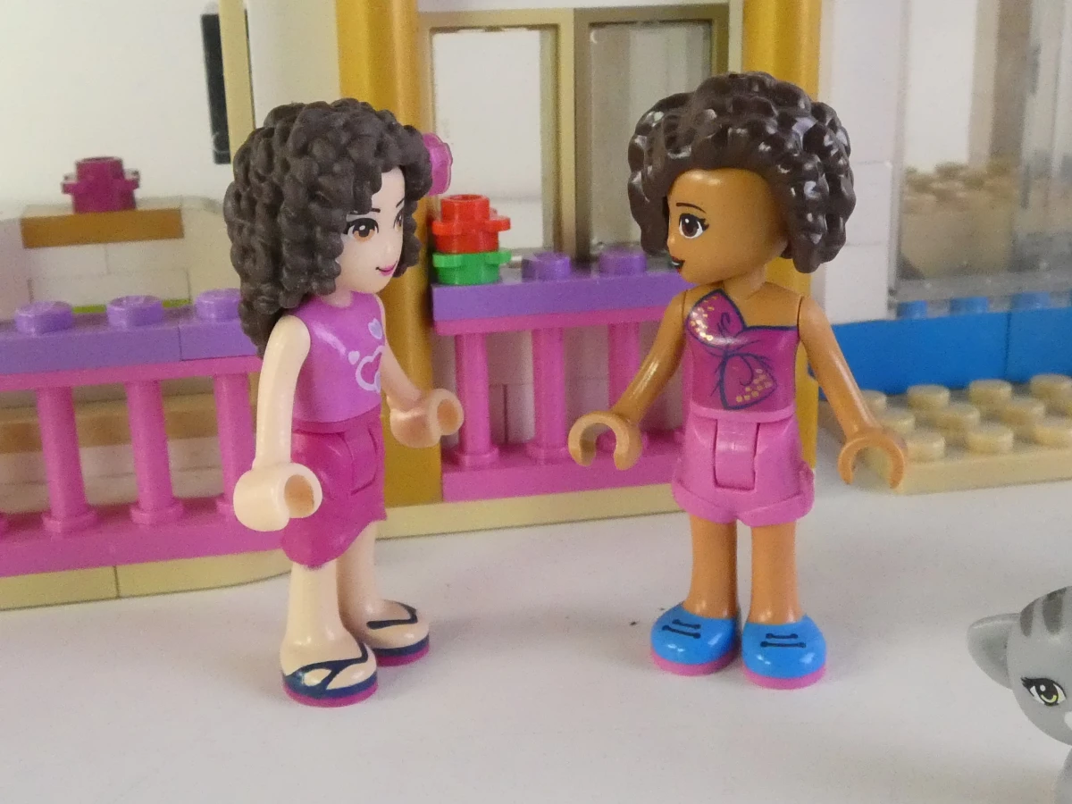 Lego Friends set 41101