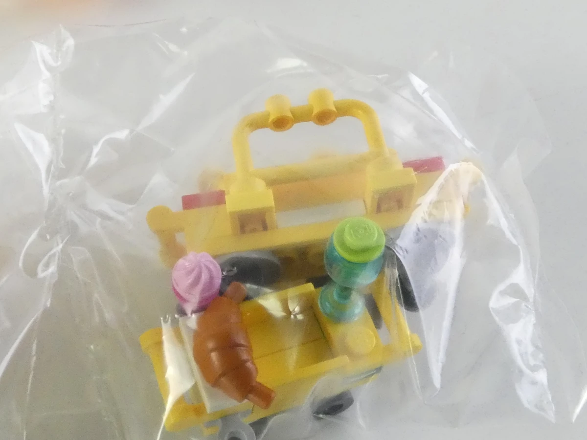 Lego Friends set 41101