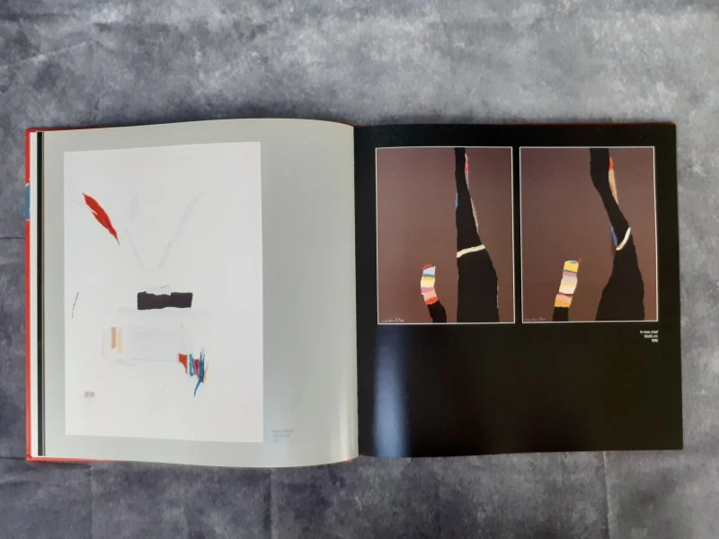 Boek: The Paper Paintings of Gerard 't Hart