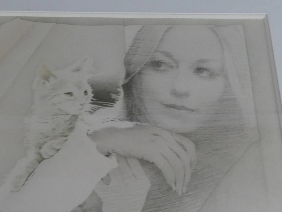 Ingelijste lithografie van Pol Mara - "Vrouw met poes"