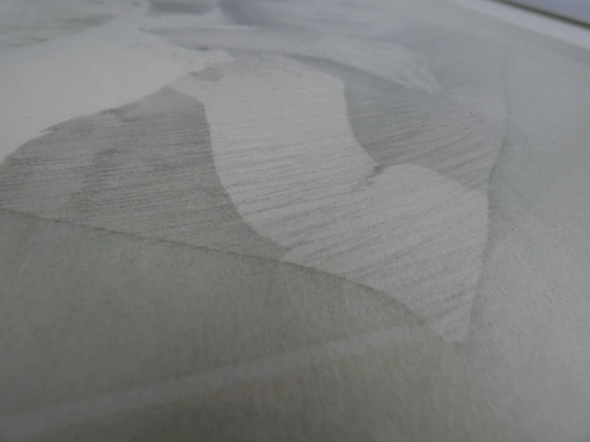 Ingelijste lithografie van Pol Mara - "Vrouw met poes"