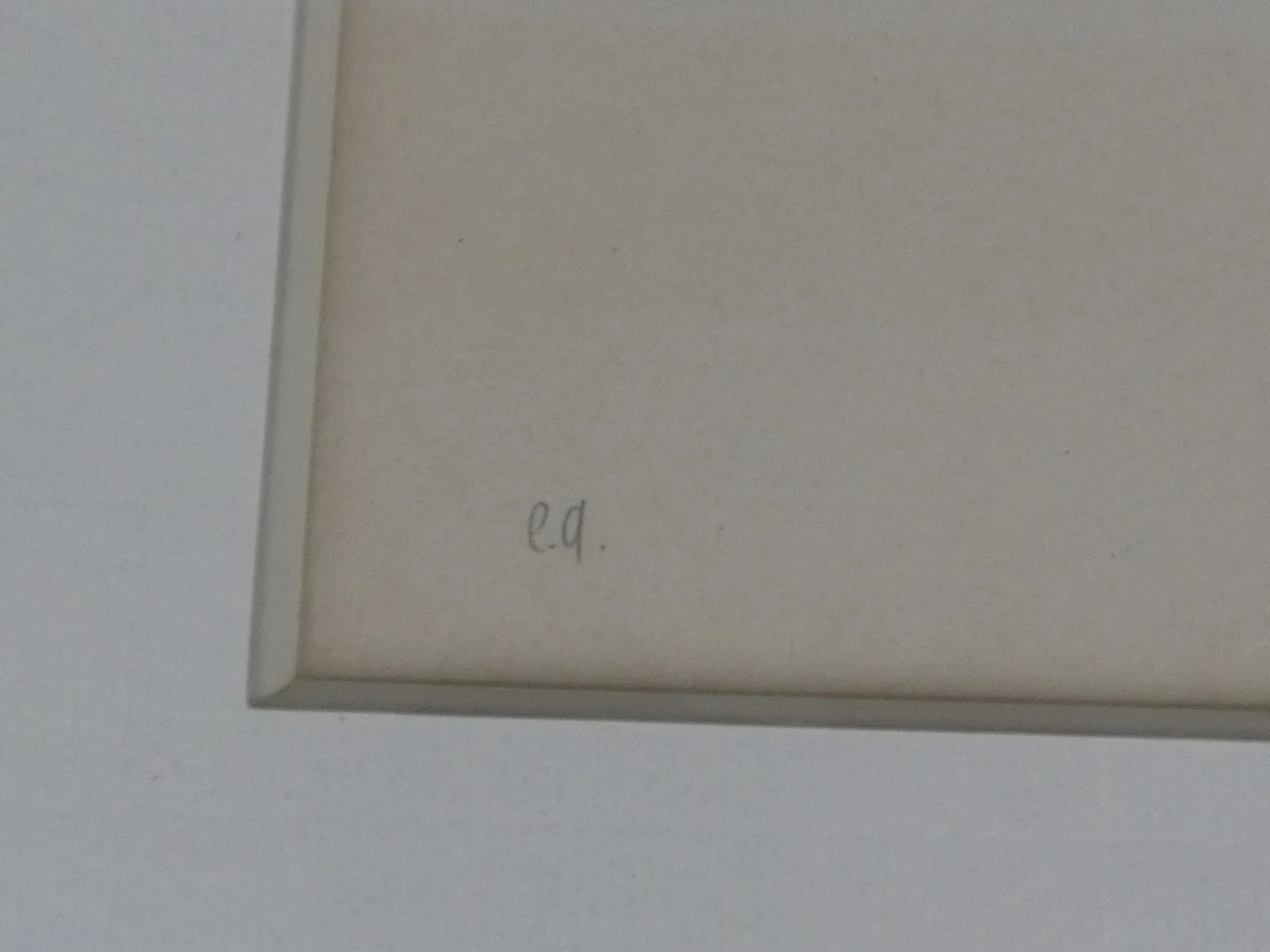 Ingelijste lithografie van Pol Mara - "Vrouw met poes"