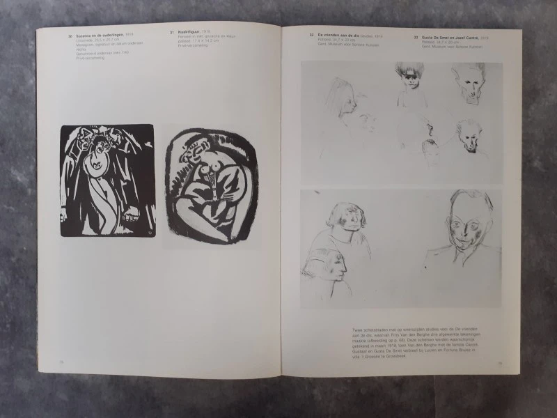 Boek: Frits Van den Berghe